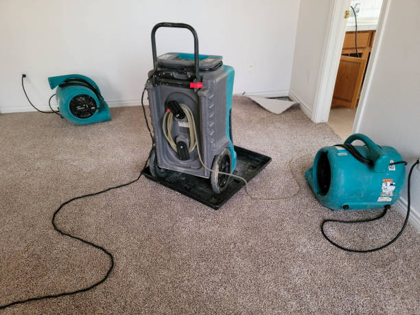 Best Flood restoration services  in Bandon, OR