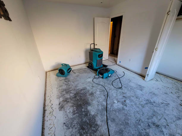 Best Water damage restoration specialists  in Bandon, OR